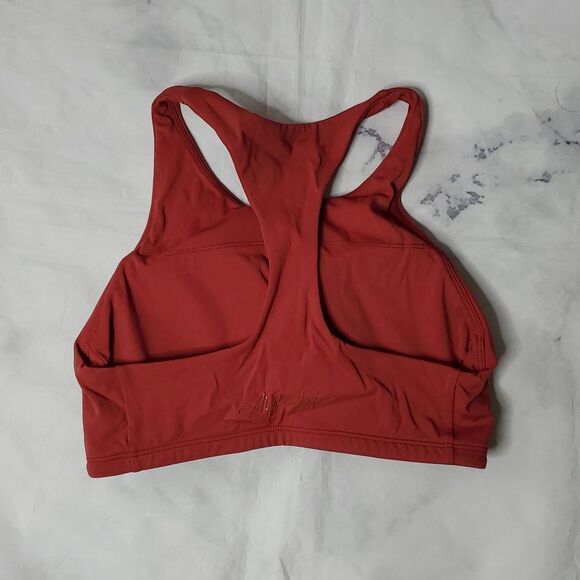 Alphalete Red Rust Sports Bra - Picture 2 of 4